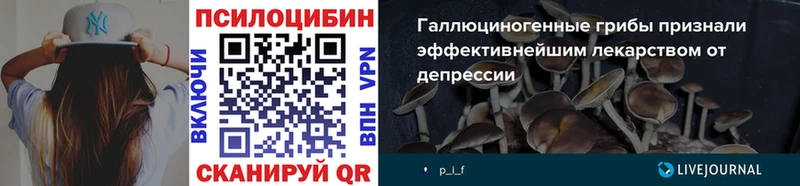 Псилоцибиновые грибы прущие грибы где можно купить наркотик Андреаполь
